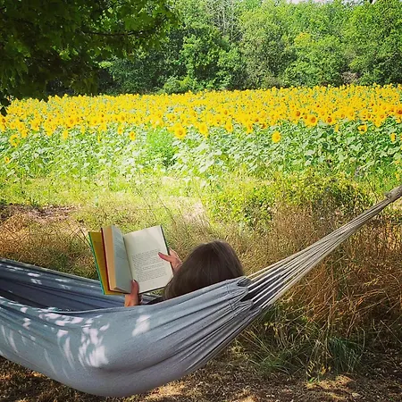 De Calvet * Sainte-Croix (Lot)