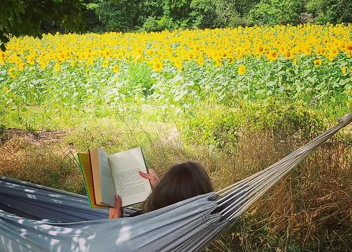 De Calvet * Sainte-Croix (Lot)